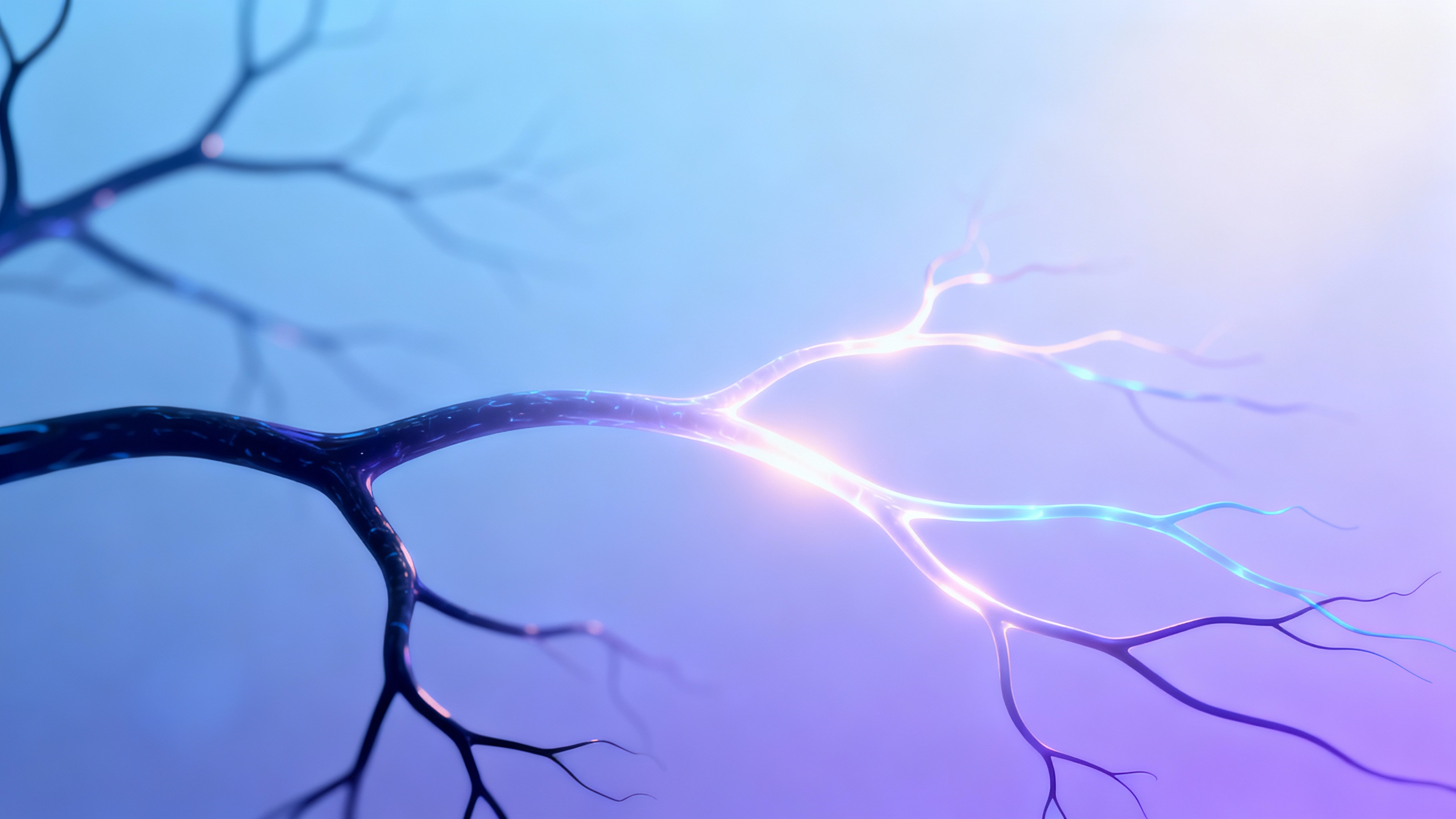 Featured image for Say Goodbye to Post-Herpetic Neuralgia Pain with These Simple Remedies